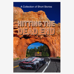 Hitting The Dead End (E-book)